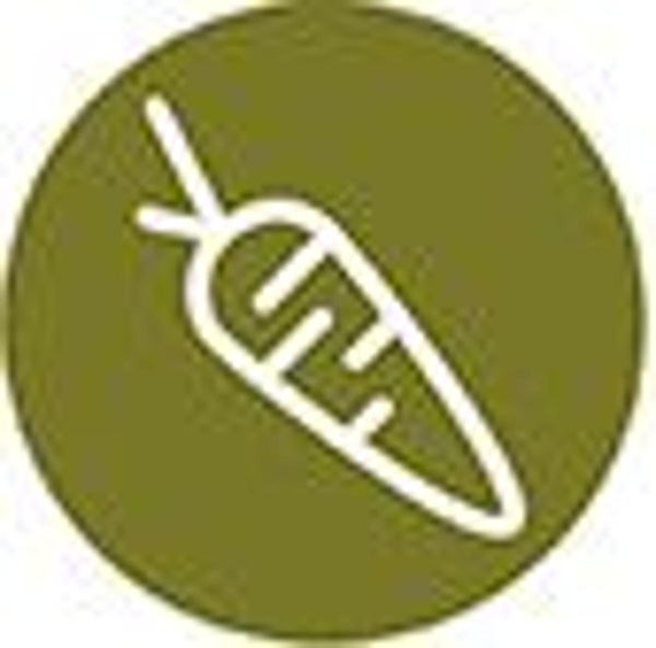 Produktfoto zu Mittag Vegetarisch