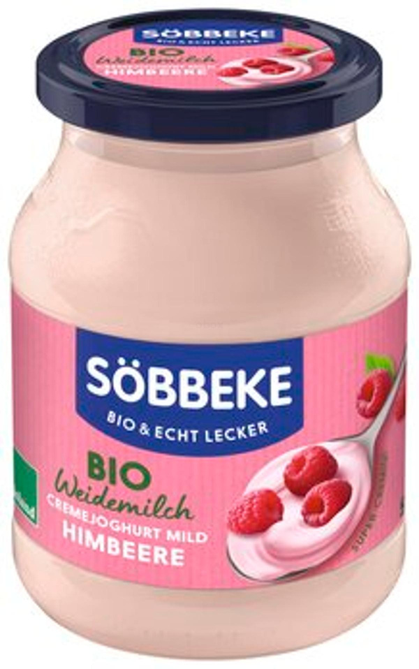 Produktfoto zu Creme-Joghurt Himbeere [500g]