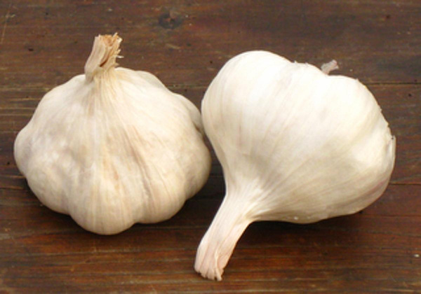 Produktfoto zu Knoblauch Knolle frisch
