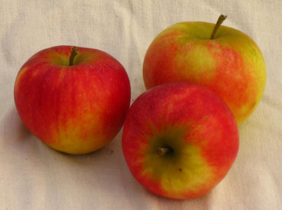 Produktfoto zu Apfel Piros