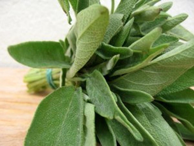 Produktfoto zu Salbei