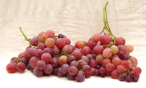 Produktfoto zu Trauben rot