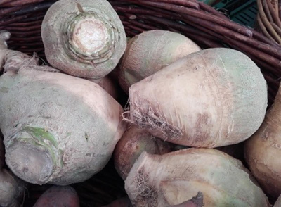 Produktfoto zu Steckrüben