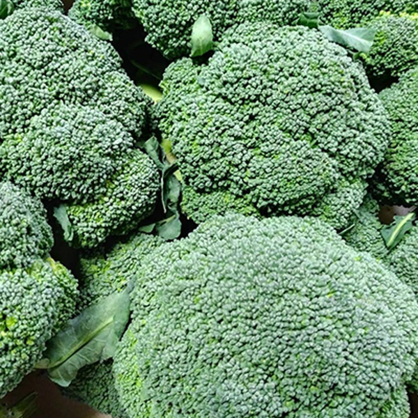 Produktfoto zu Broccoli