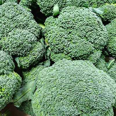 Produktfoto zu Broccoli
