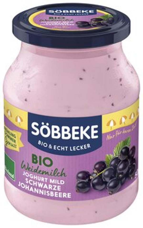 Produktfoto zu Sommerjoghurt Schwarze Johanni