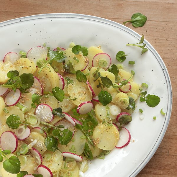 Brunnenkresse-Kartoffelsalat mit Radieschen und Frühlingszwiebeln auf einen Teller