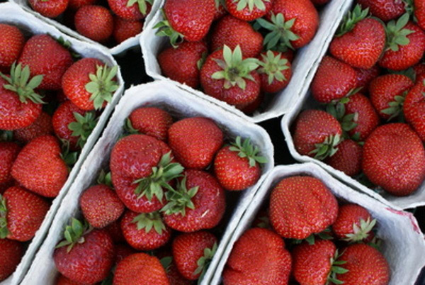 Produktfoto zu Erdbeeren 250g