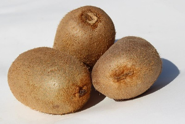 Produktfoto zu Kiwi