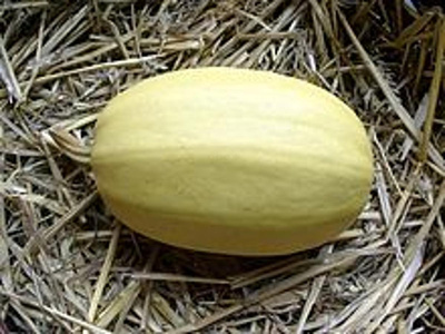 Produktfoto zu Kürbis Spaghetti