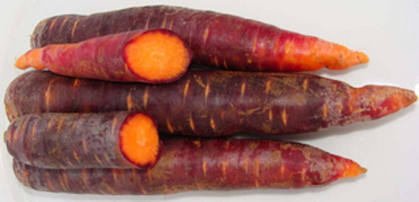 Produktfoto zu Möhren bunt