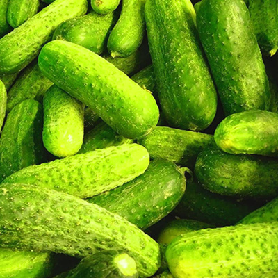 Produktfoto zu Snackgurke