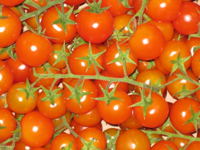 Produktfoto zu Cocktailtomaten