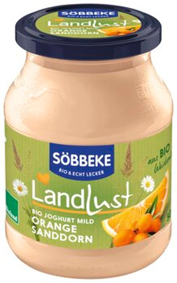 Produktfoto zu Joghurt Orange-Sanddorn 500g