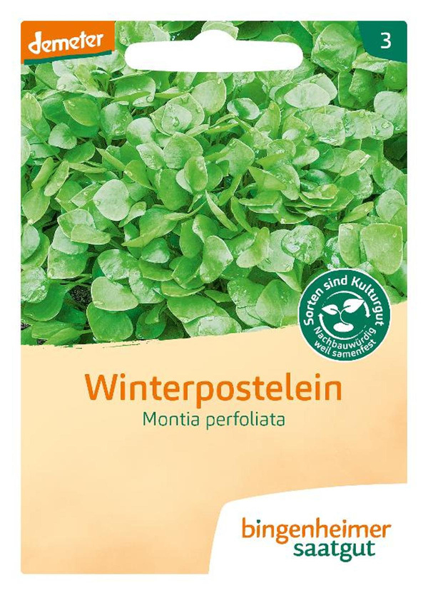 Produktfoto zu Posteleinsalat