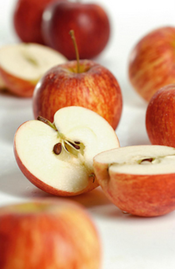 Produktfoto zu Apfel Gala