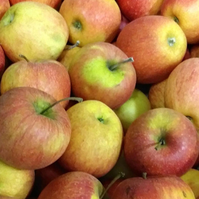 Produktfoto zu Apfel Red Jonaprince