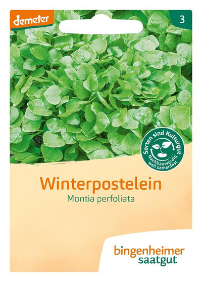 Produktfoto zu Posteleinsalat