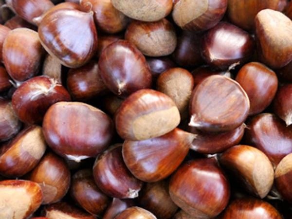 Produktfoto zu Esskastanie